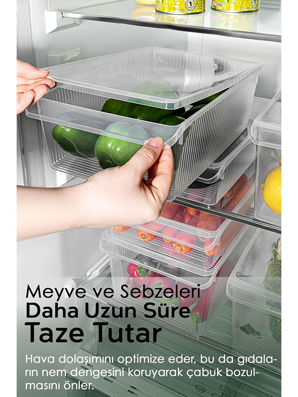 Renksiz 6'lı Kapaklı Saklama Kabı Seti Organizer Düzenleyici Meyve Sebze Erzak Kabı 2x 4 6 8 Litre-2