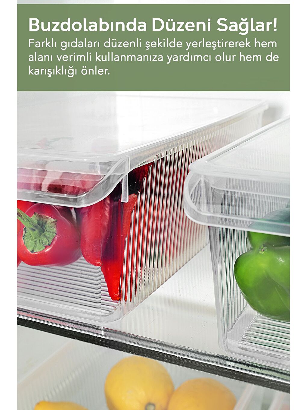 Renksiz 2 Adet Kapaklı Saklama Kabı 6 Litre-5