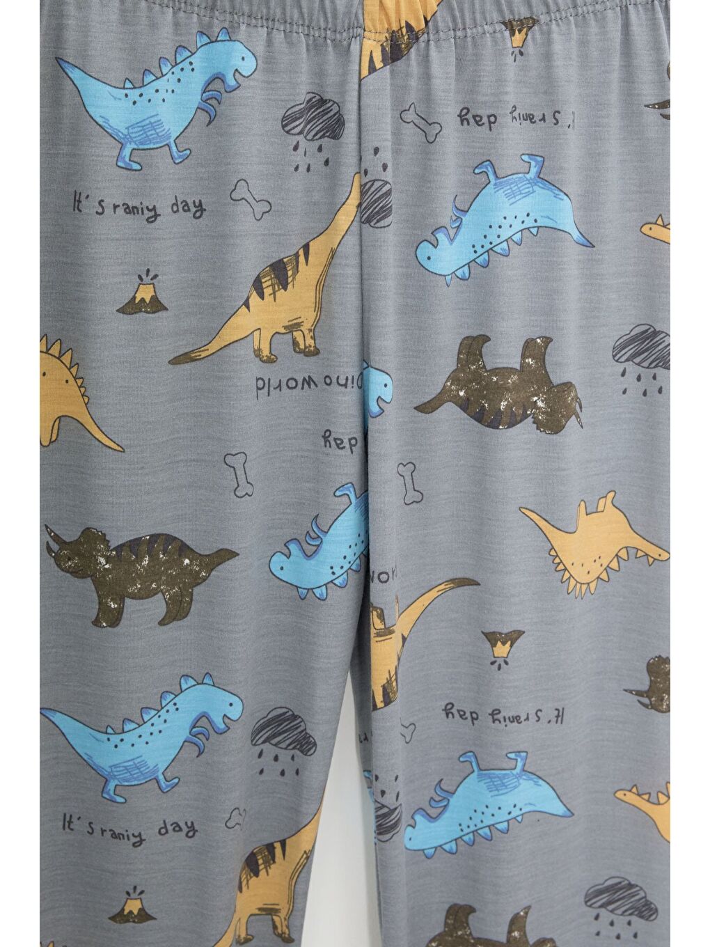 Gri Dinozor Desenli Düğmeli Erkek Çocuk Kısa Kol Pijama Takımı 23822-3