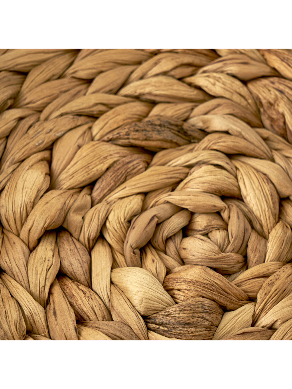 Bej Olden Su Sümbülü Dekoratif Tepsi Naturel (32x7 cm)-2