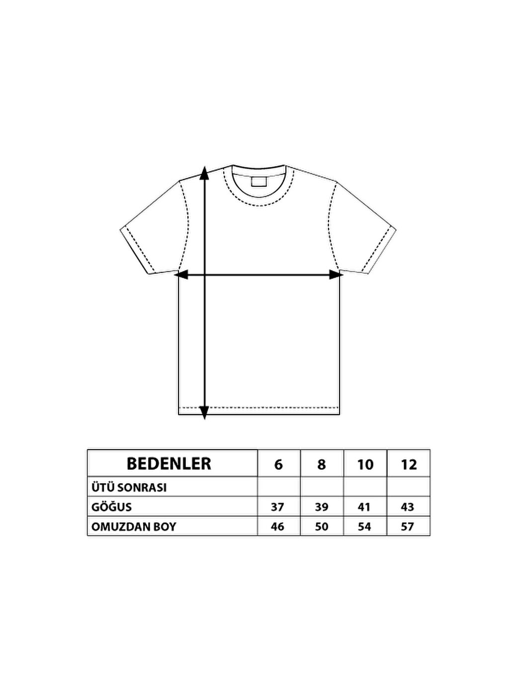 Gri Kız Çocuk Power Baskılı Tişört-1