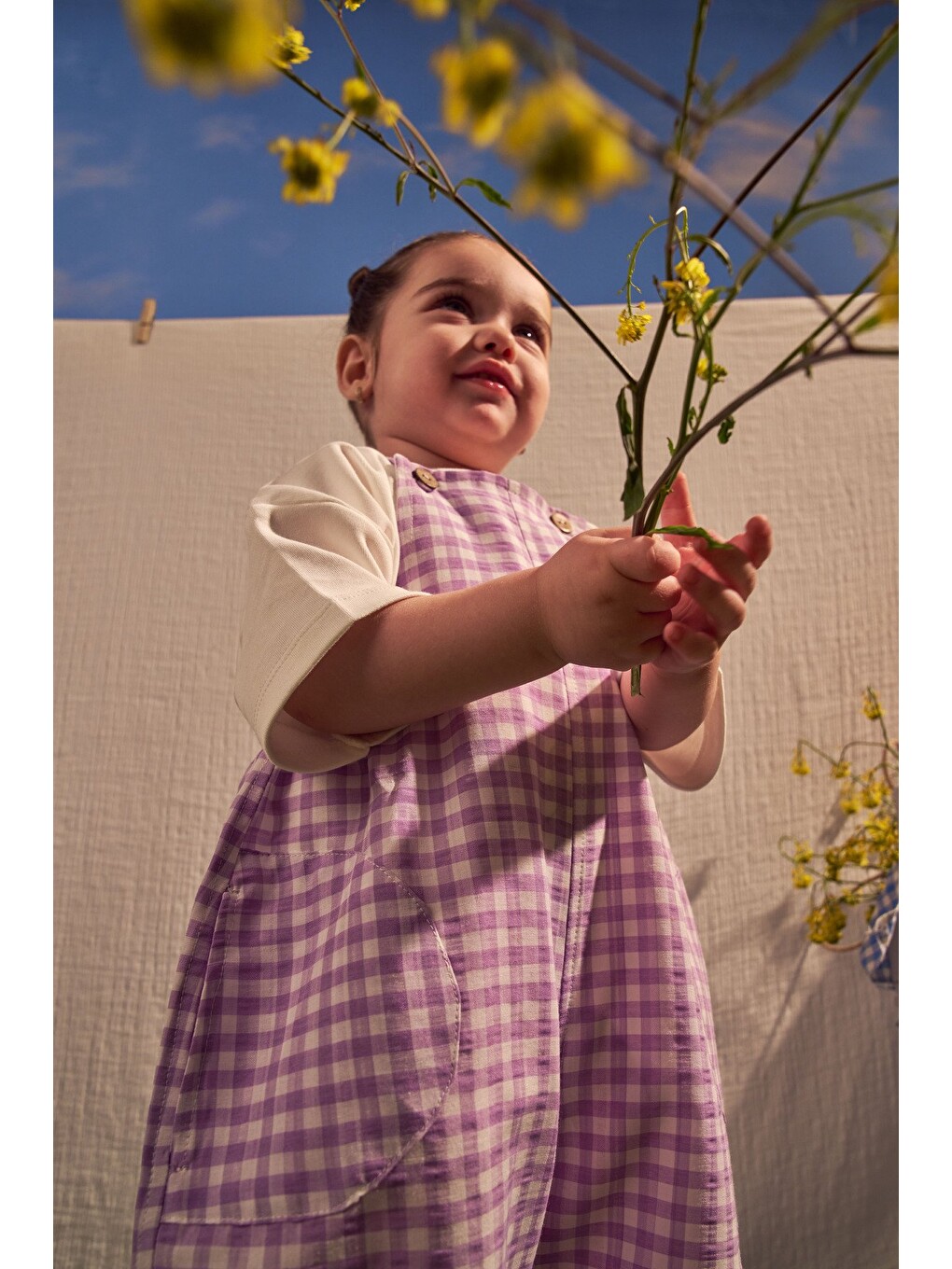 Lila Daisy Picnic Serisi Cepli Salopet-1