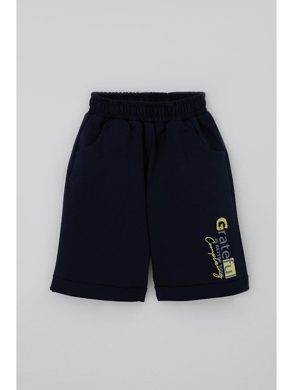 Erkek Çocuk Şortlu Takım Yazı Baskılı Fıstık Yeşili (3-7 Yaş)-2