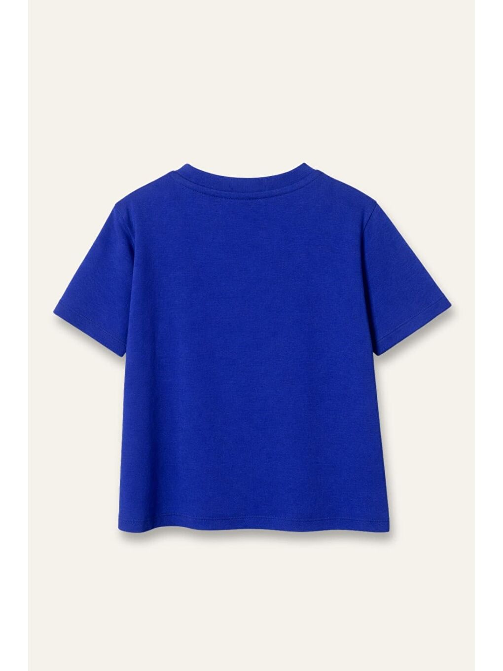 Mavi Erkek Çocuk Baskılı T-Shirt  - Sax-2