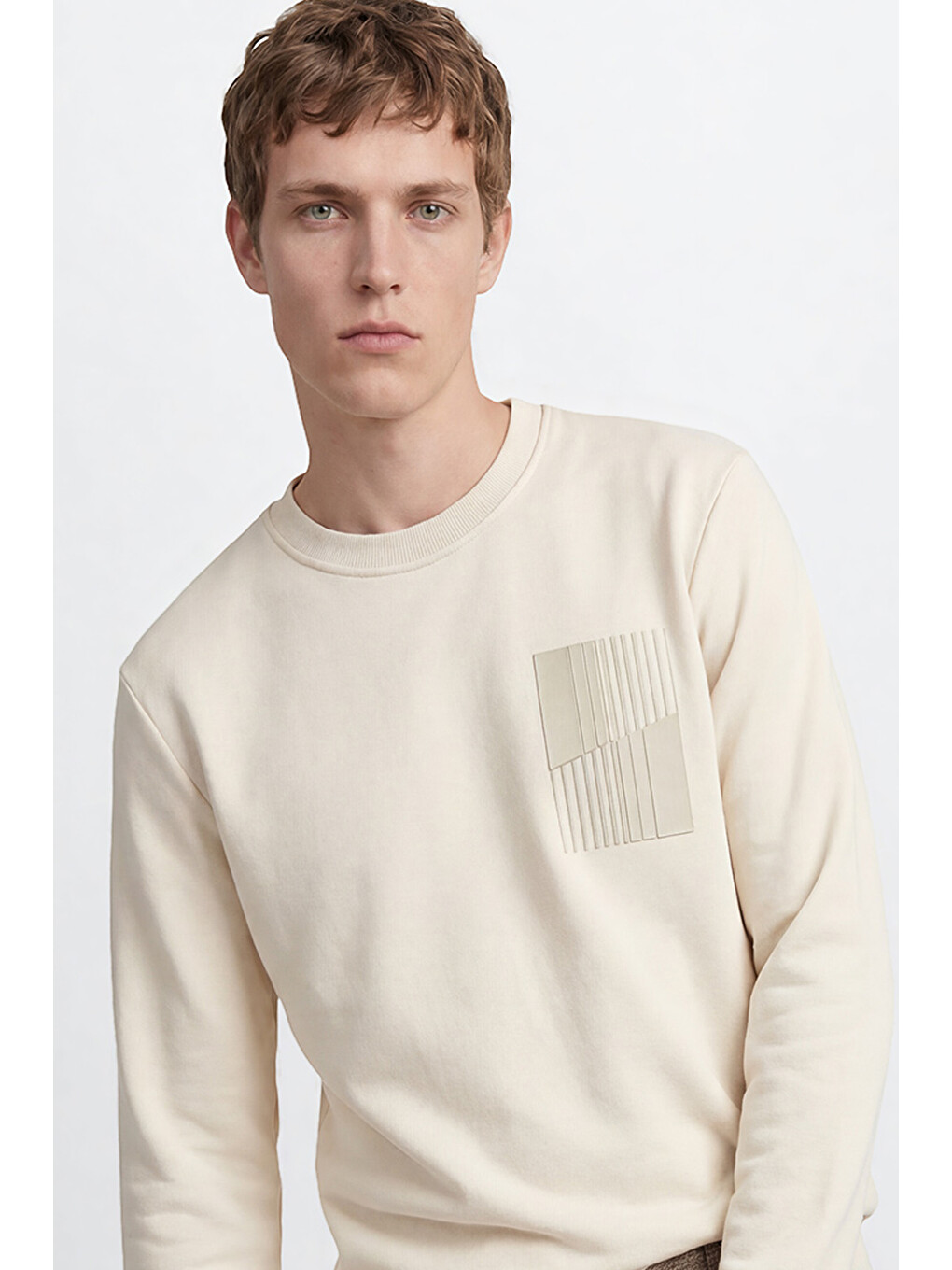 Bej Erkek Taş Pamuklu Standart Fit Normal Kesim Bisiklet Yaka Sweatshirt-3