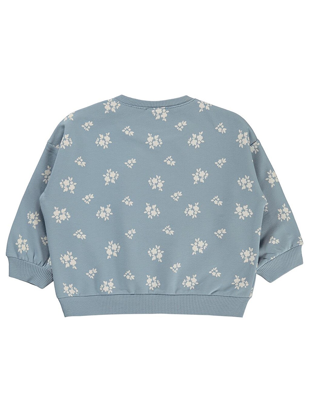 Baby Çiçek Empirme Basic 6-18 Ay Sweatshirt - Mavi-2