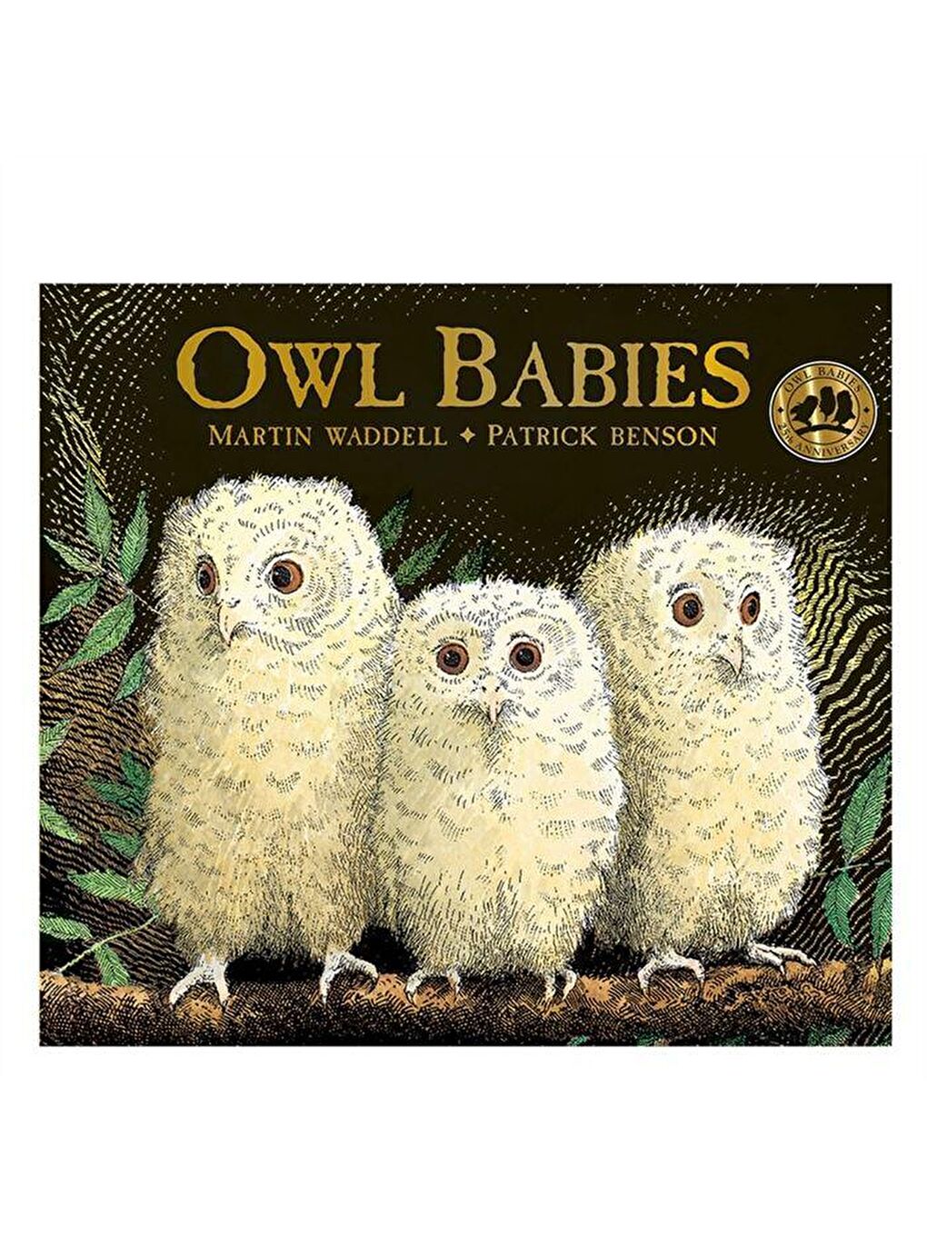 Walker Books Karışık Owl Babies