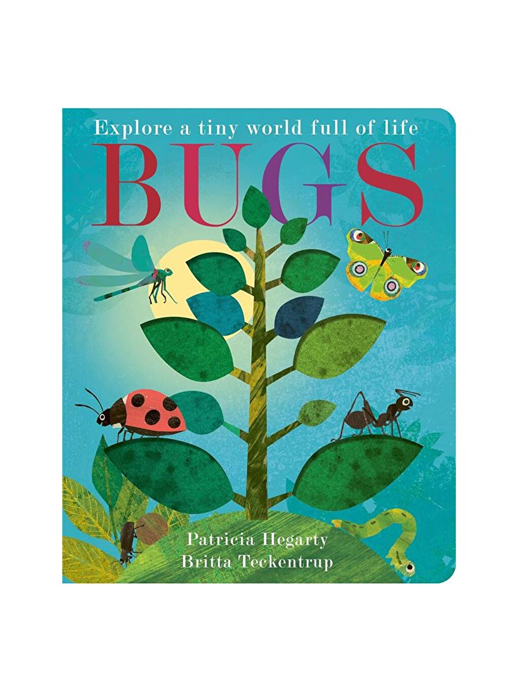 Explore a Tiny World Full of Life - Bugs