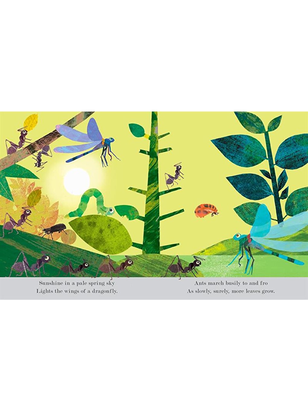 Explore a Tiny World Full of Life - Bugs-1