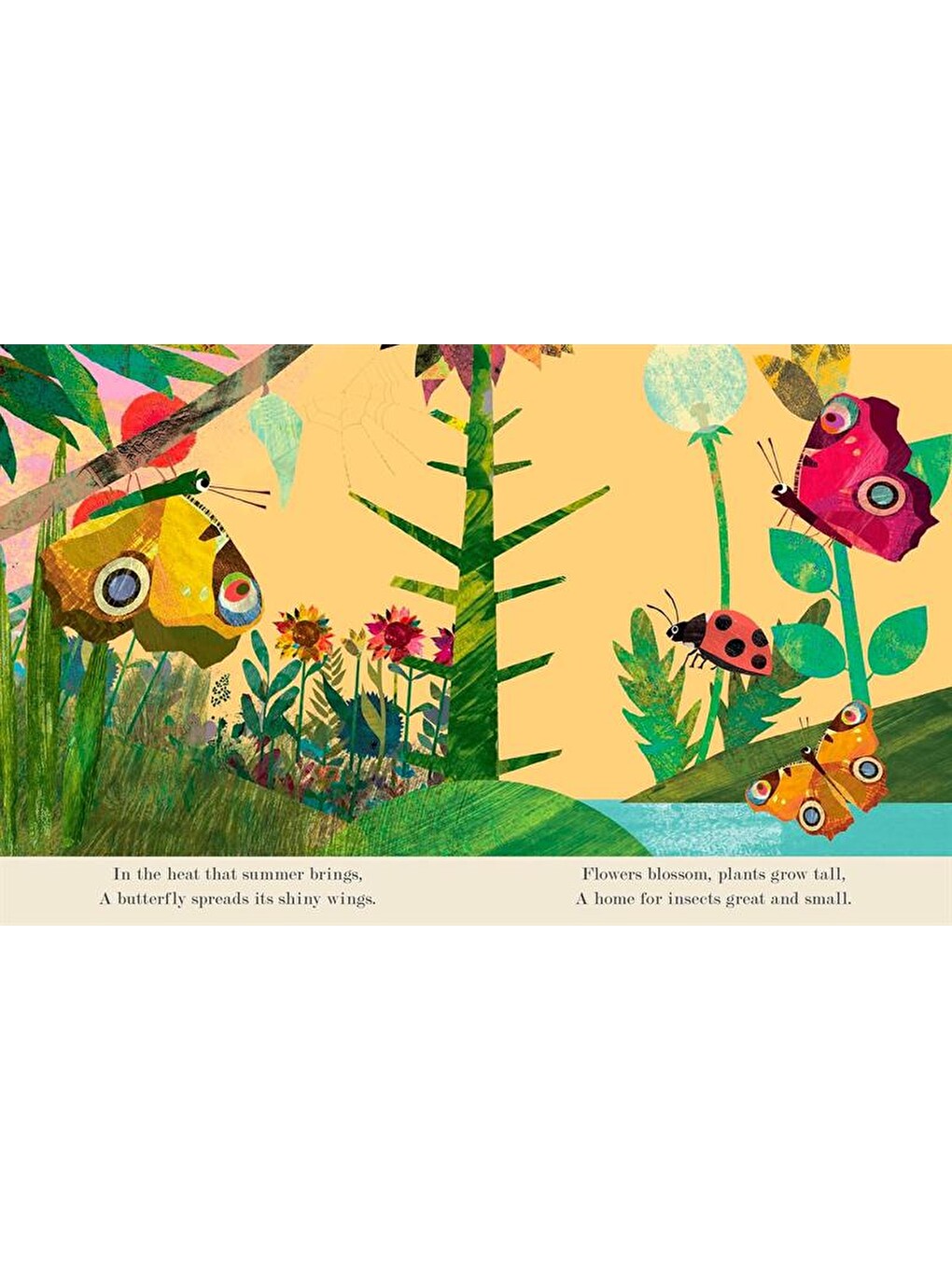 Explore a Tiny World Full of Life - Bugs-2