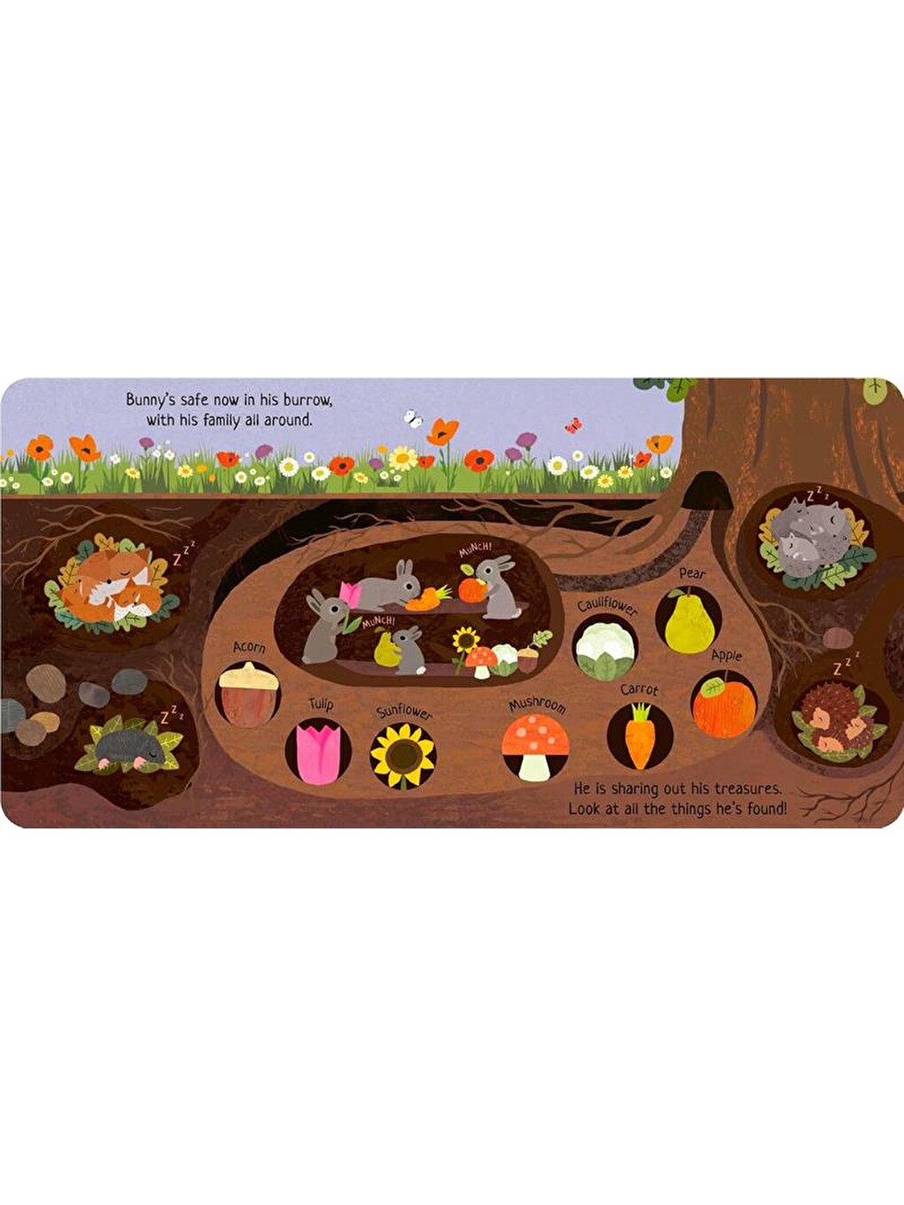Can You Catch the Bunny-2