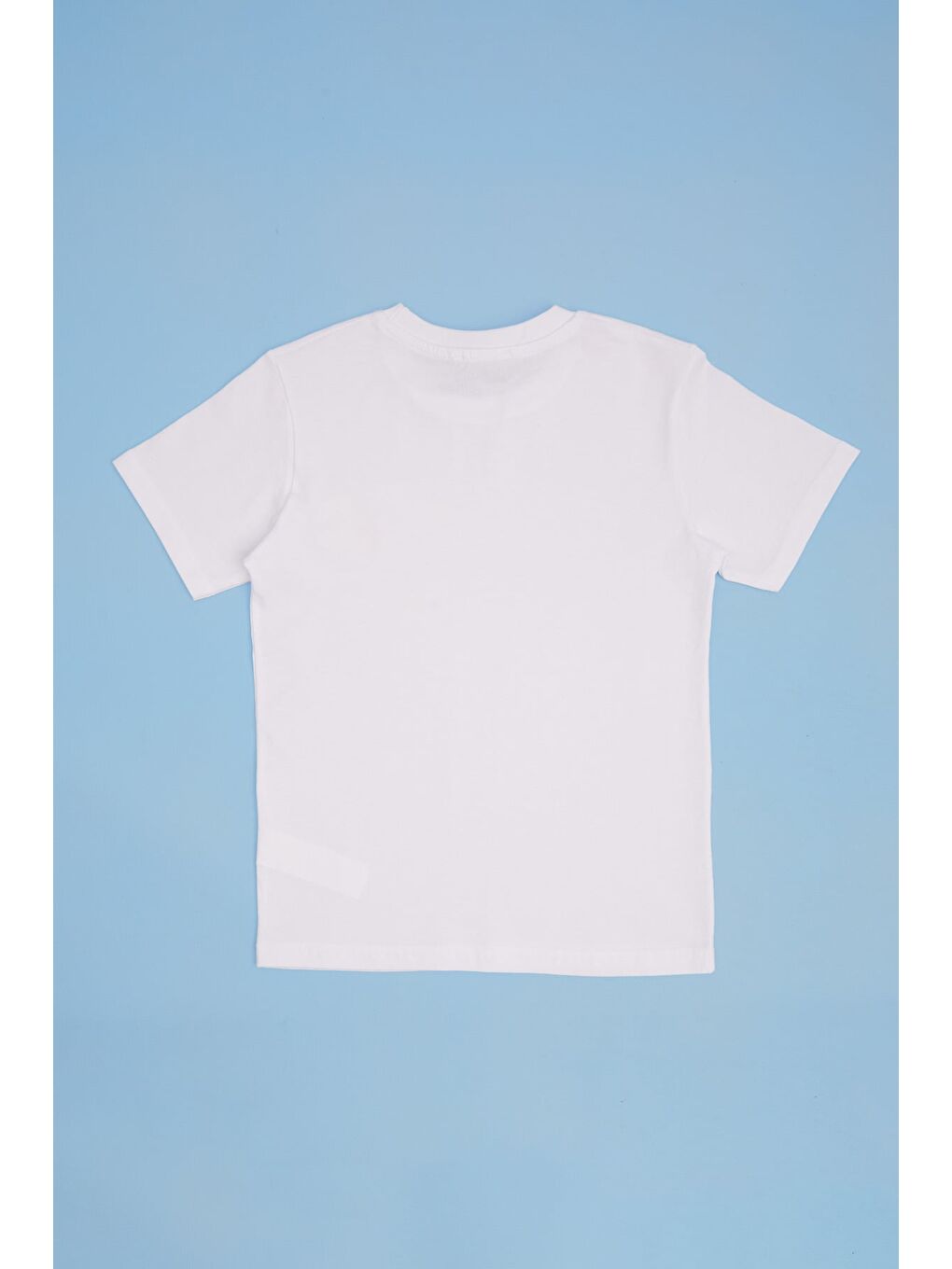 Beyaz Palmiye Baskılı Bisiklet Yaka Erkek Çocuk Tişört-1