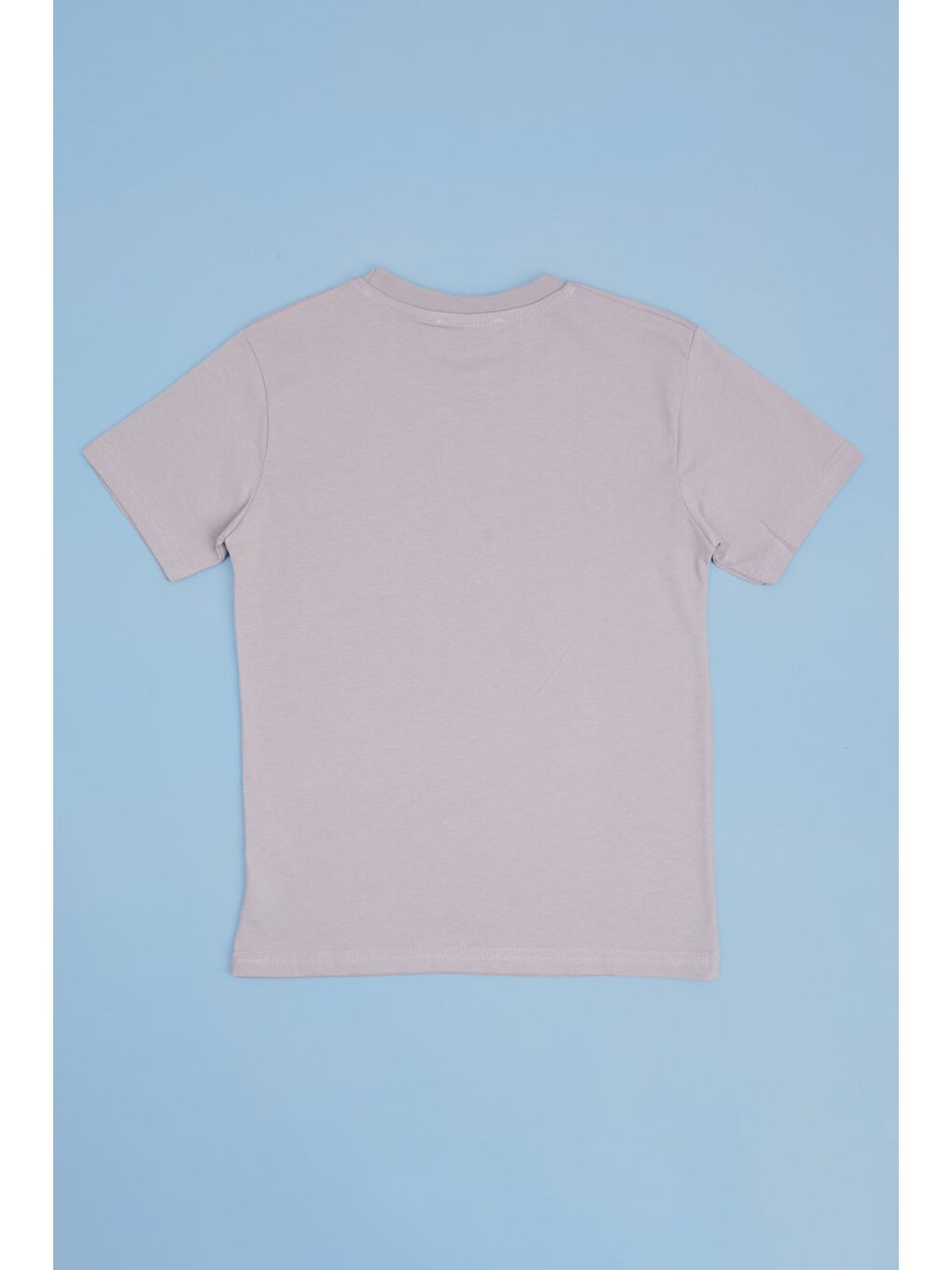 Gri Palmiye Baskılı Bisiklet Yaka Erkek Çocuk Tişört-1