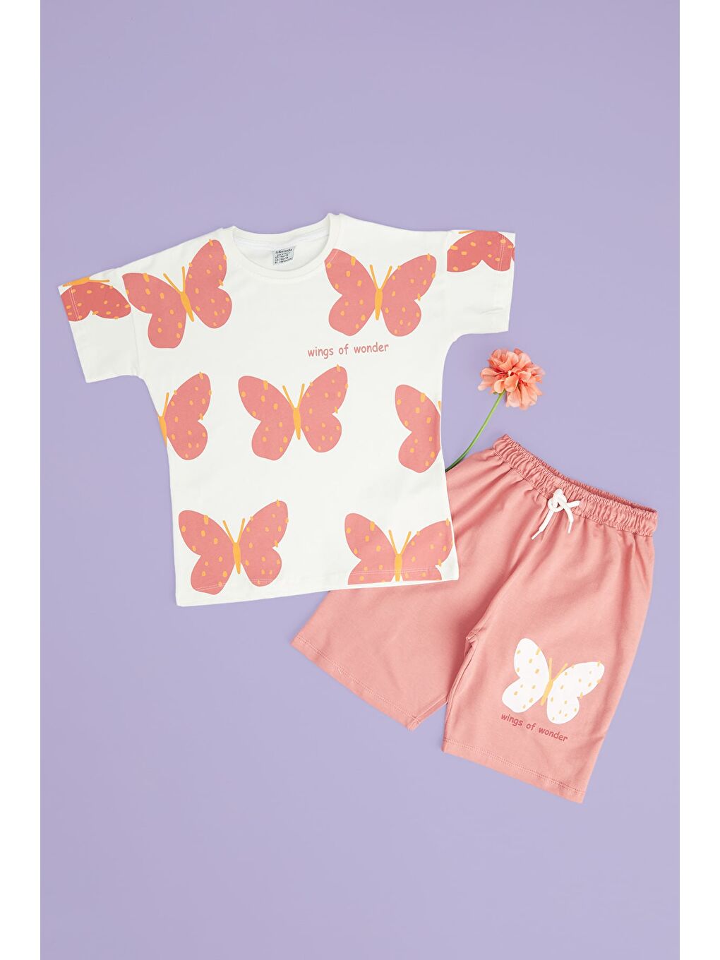 Pembe Kelebek Baskılı Kız Çocuk 2 Li Takım