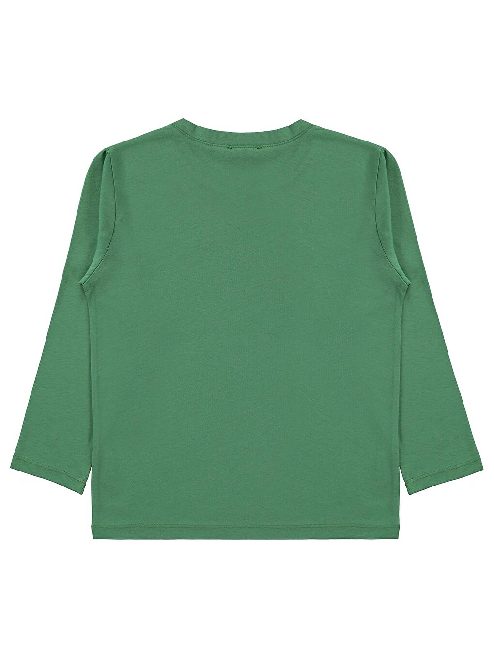 Boys Basic Uzun Kol 6-9 Yaş Sweatshirt Km - Yeşil-1