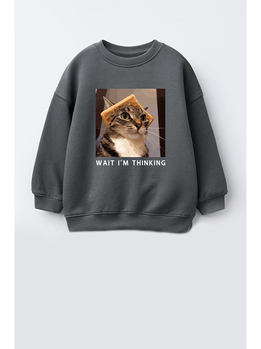 Antrasit Erkek Çocuk 3 İplik Kumaş Kedi Baskılı Pamuklu Sweatshirt