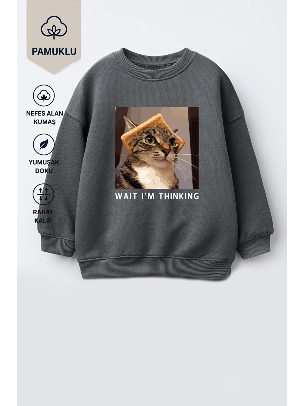 Antrasit Erkek Çocuk 3 İplik Kumaş Kedi Baskılı Pamuklu Sweatshirt-2
