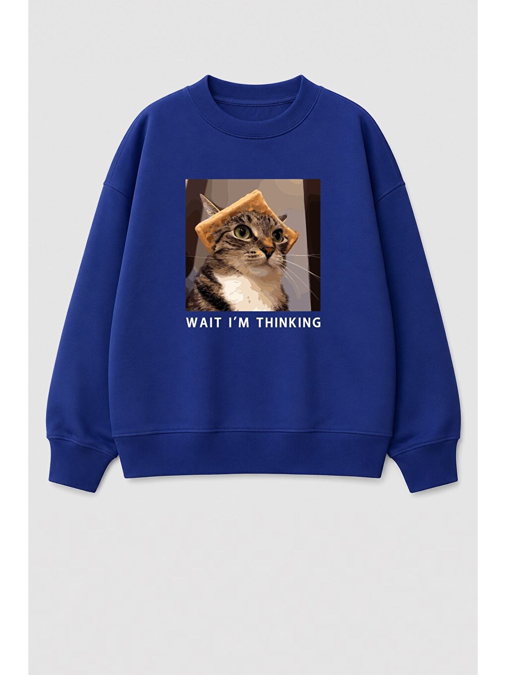Lacivert Erkek Çocuk 3 İplik Kumaş Kedi Baskılı Pamuklu Sweatshirt