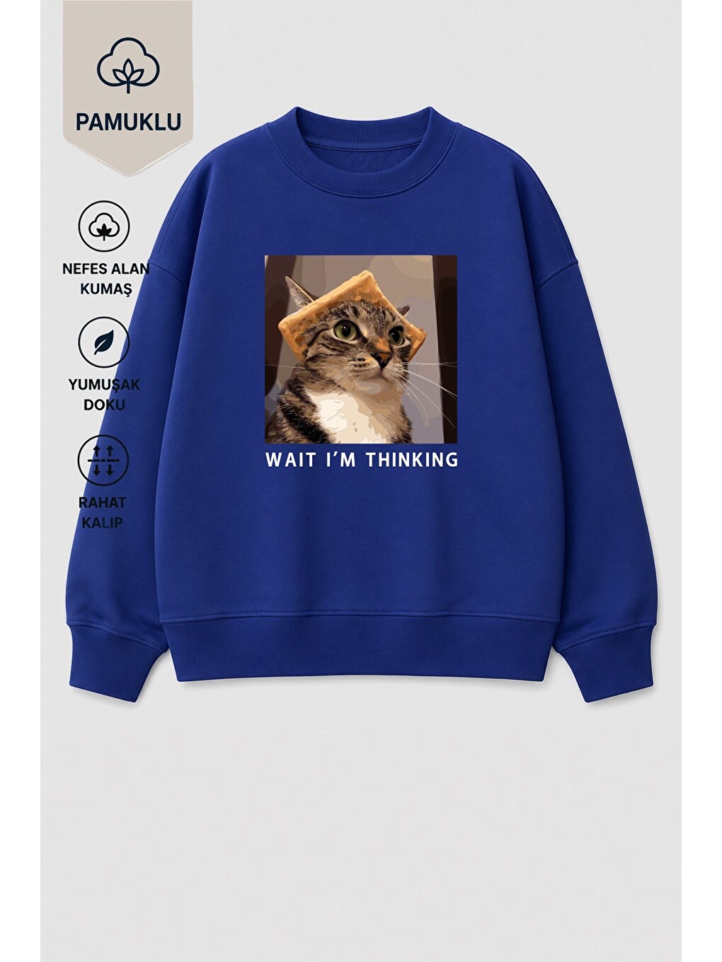 Lacivert Erkek Çocuk 3 İplik Kumaş Kedi Baskılı Pamuklu Sweatshirt-2