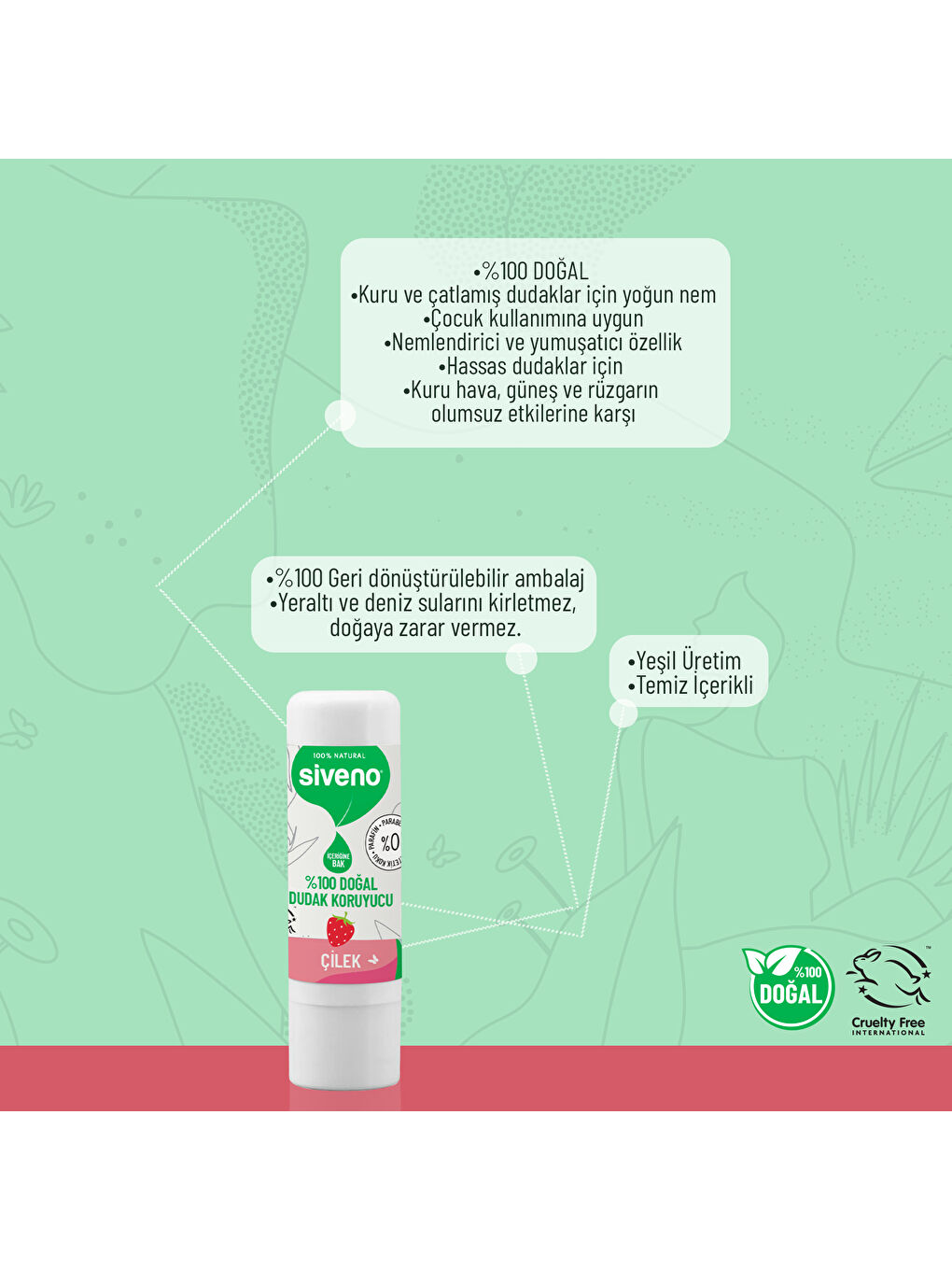 %100 Doğal Dudak Koruyucu Çilek Bitkisel Lip Balm Dudak Kremi Nemlendirici Parlatıcı Onarıcı 6 gr-4