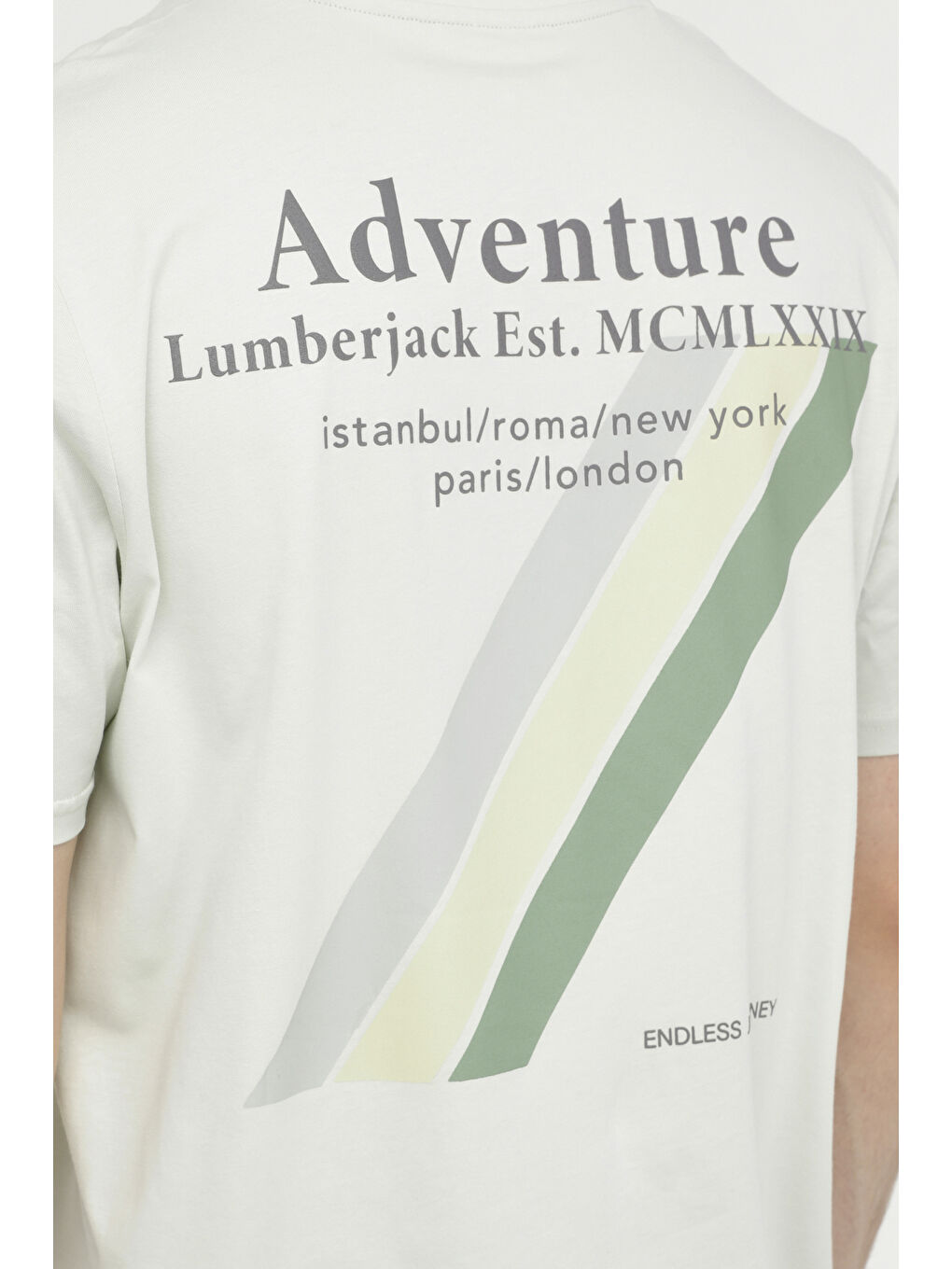 Lumberjack ML CONNELL 11URB1006 4FX Açık Yeşil Erkek Kısa Kol T-Shirt - 4