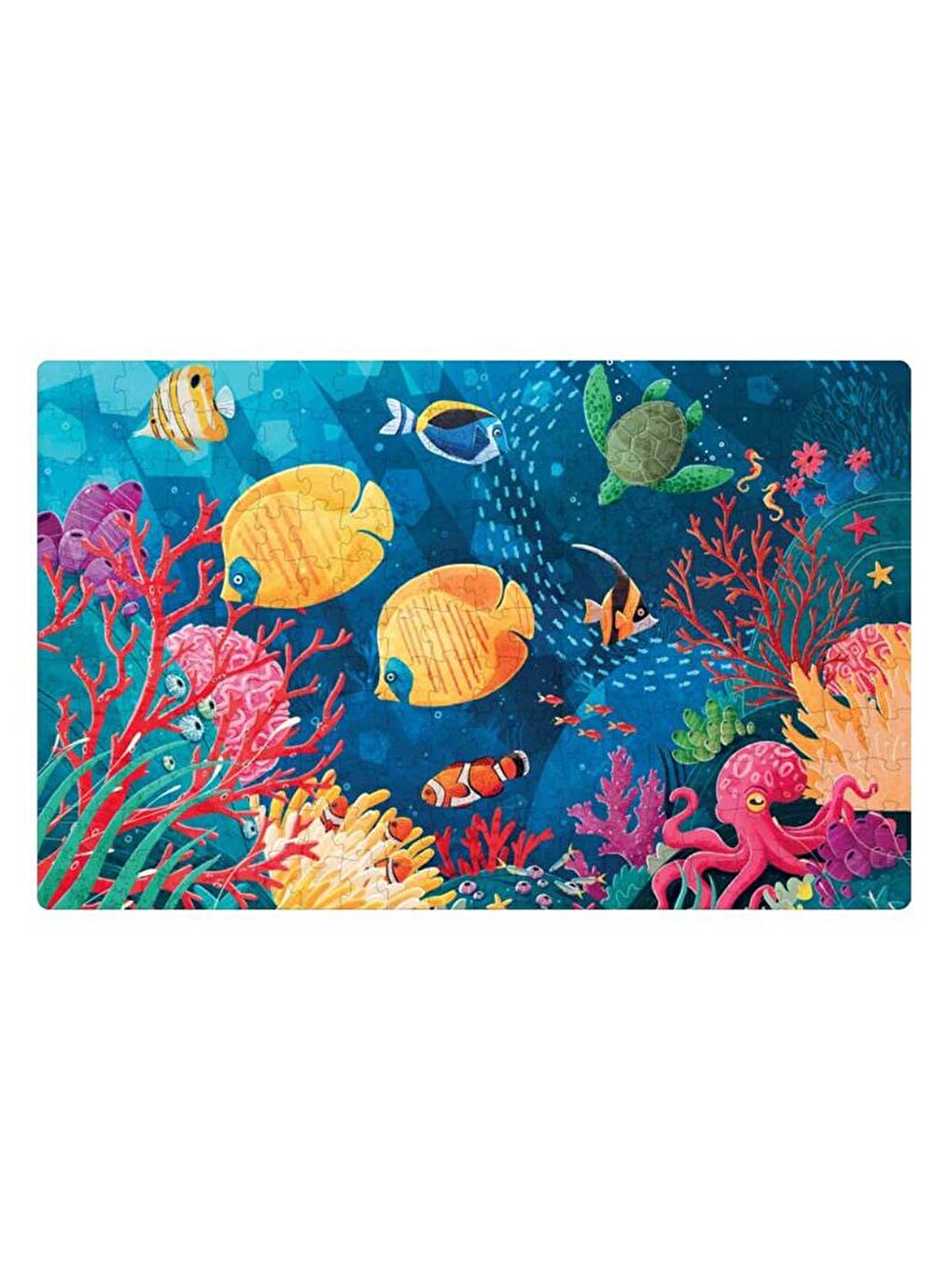 Save The Planet - The Coral Reef-2