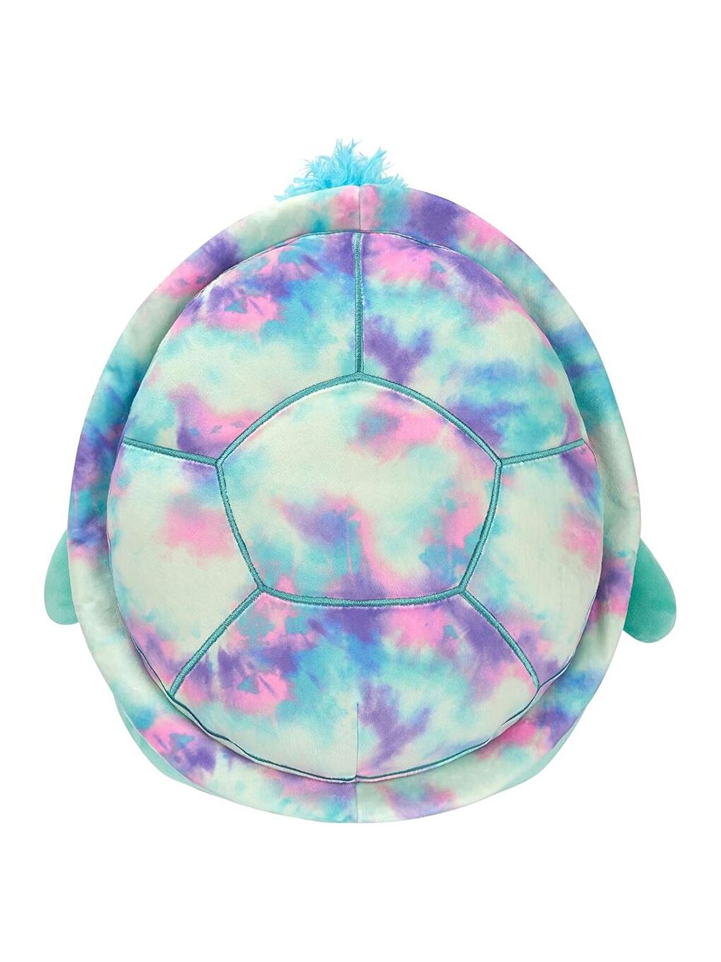 Deniz Kaplumbağası Cascade 40cm SQCR05477-3