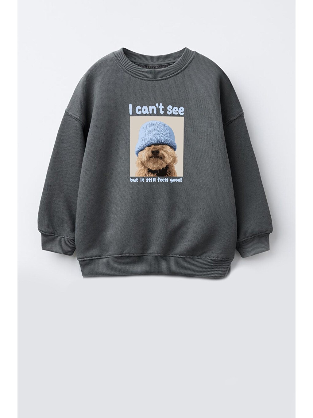 Antrasit Unisex Çocuk 3 İplik Kumaş Köpek Baskılı Pamuklu Sweatshirt