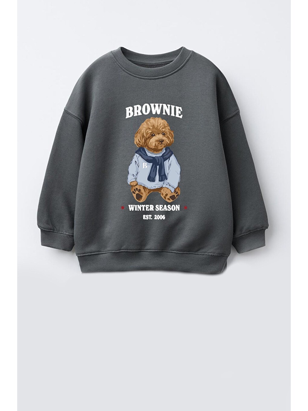 Antrasit Erkek Çocuk 3 İplik Kumaş Ayıcık Baskılı Pamuklu Sweatshirt