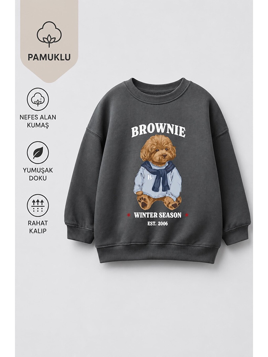 Antrasit Erkek Çocuk 3 İplik Kumaş Ayıcık Baskılı Pamuklu Sweatshirt-1