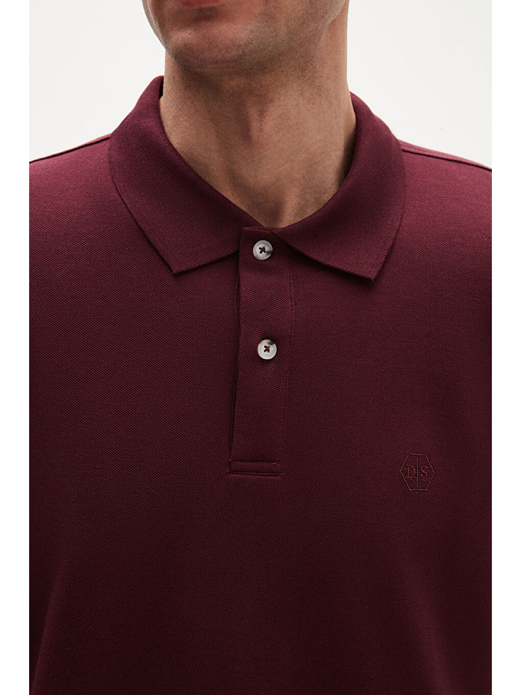 Regular Fit Mürdüm %100 Pamuklu Uzun Ömürlü Kıvrılmaz Polo Yaka Nakışlı T-Shirt-2