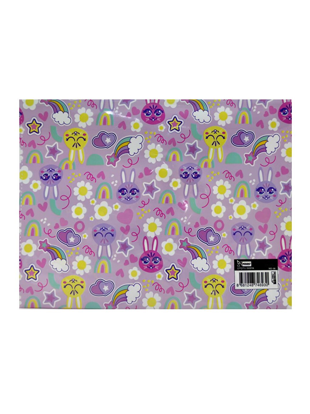 A4 Çıtçıtlı Dosya Kız Temalı (1 Adet)-7