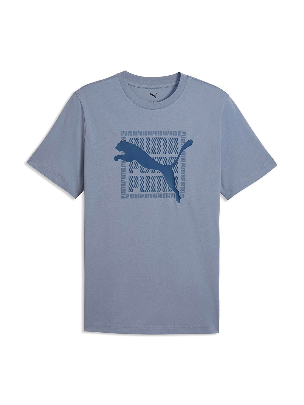 Graphic Erkek Gri Tişört