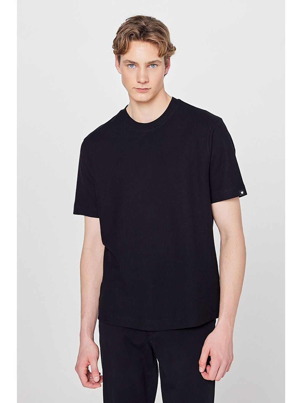 Siyah Bisiklet Yaka Basic Tişört