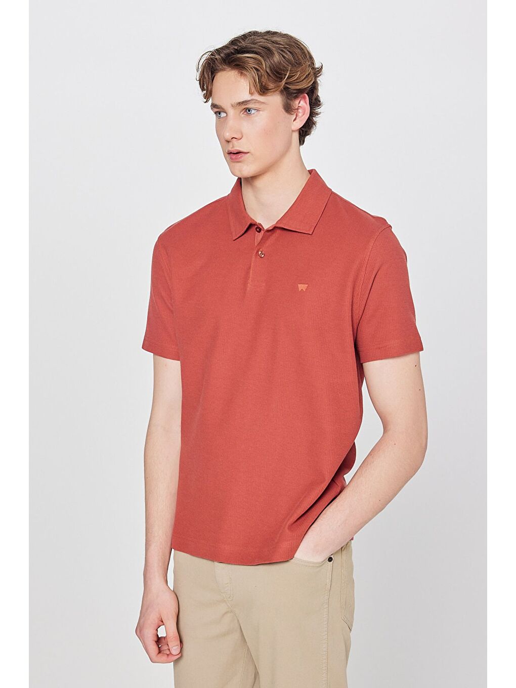 Bordo Polo Yaka Basic Tişört-1