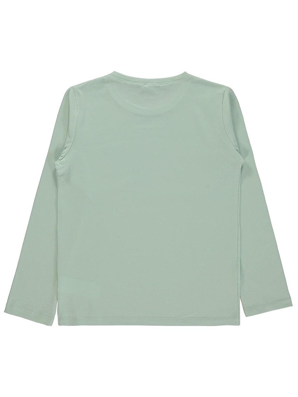Boys Basic 10-13 Yaş Sweatshirt - Yeşil-1