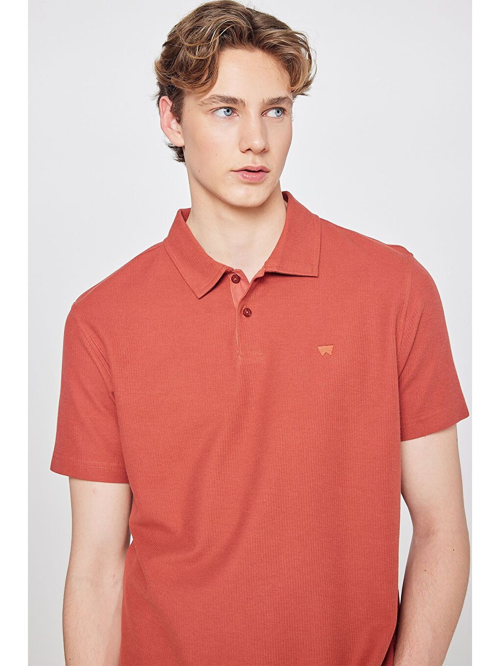 Bordo Polo Yaka Basic Tişört-3