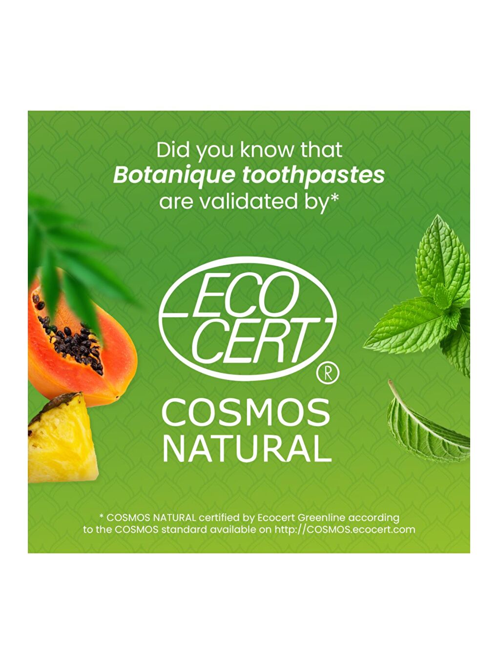 Botanique Beyazlatıcı Komple Bakım Organik Diş Macunu 75ml 2'li Paket | Ecocert Cosmos Sertifikalı-3