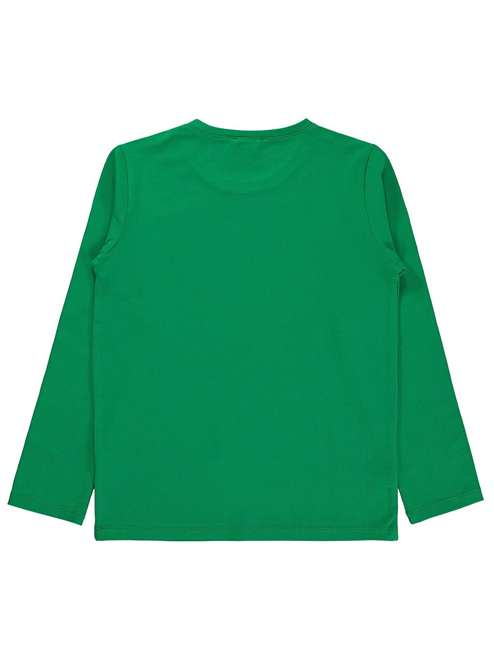Boys Basic 10-13 Yaş Sweatshirt - Yeşil-1