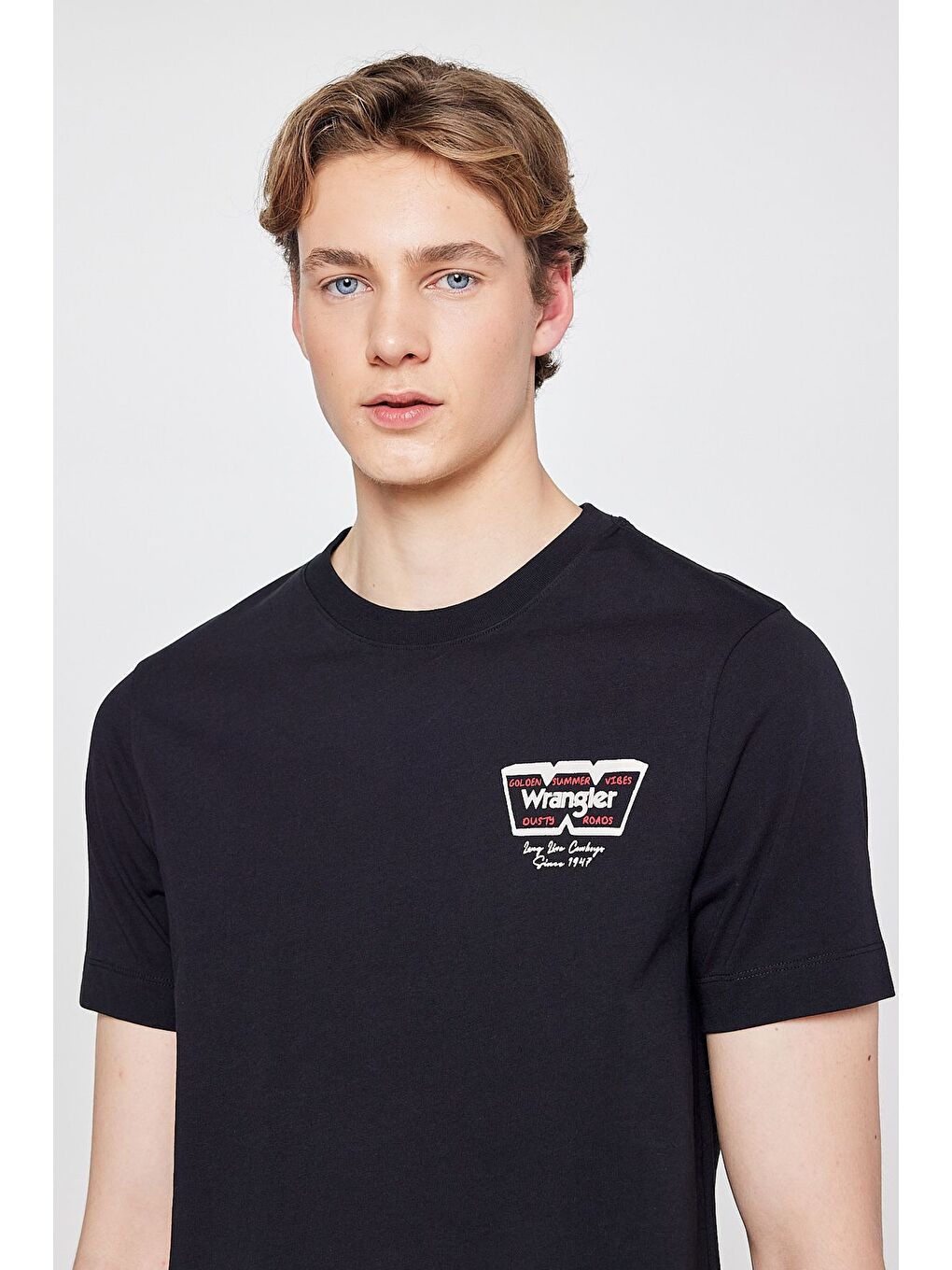 Siyah Bisiklet Yaka Basic Tişört-3