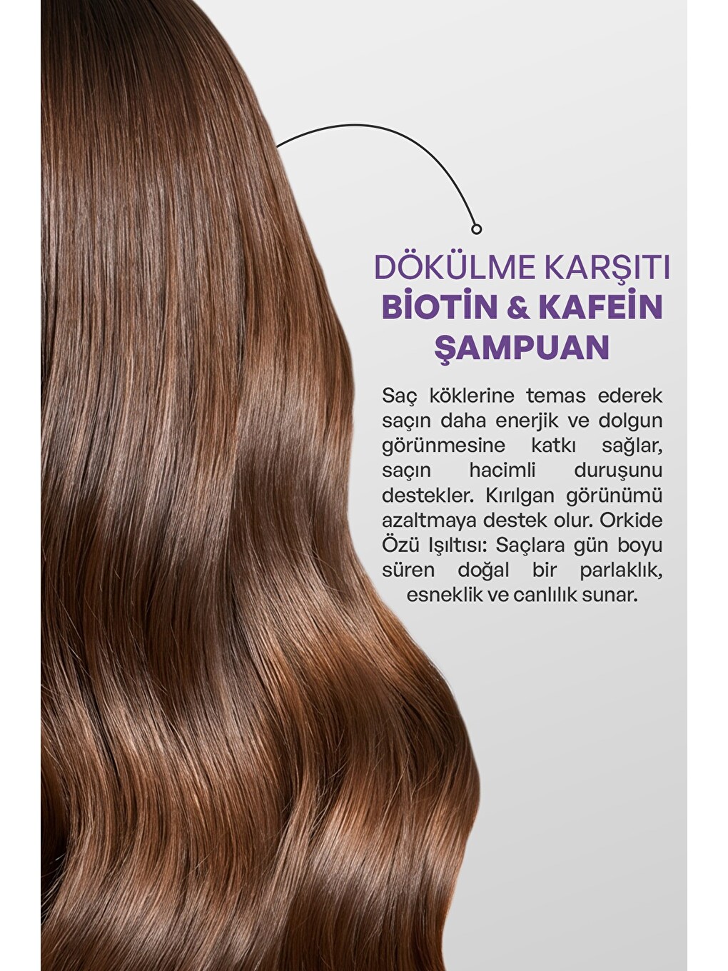Biotin & Caffeine Dökülme Karşıtı Şampuan 950 Ml-2