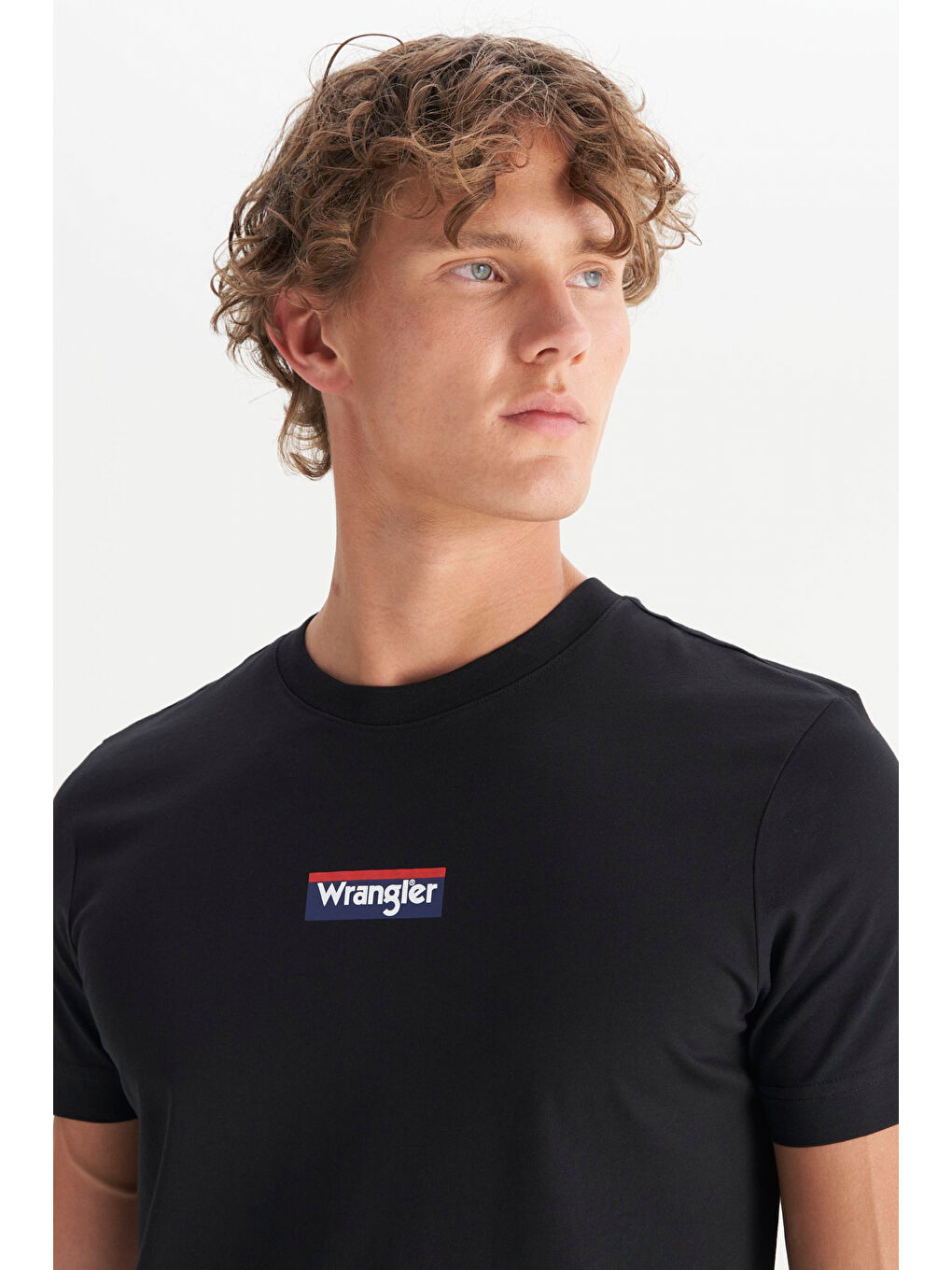 %100 Pamuk Regular Fit Normal Kesim Siyah Minimal Logo Tişört-3