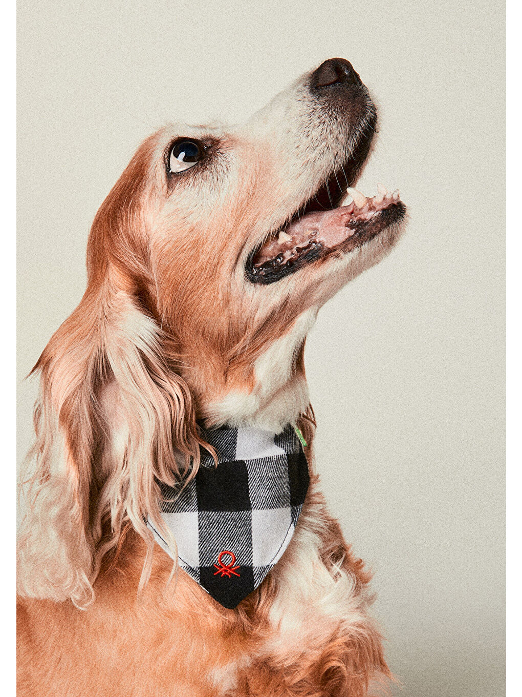 Unisex Yeşil Ekoseli  Köpek Bandanası-4