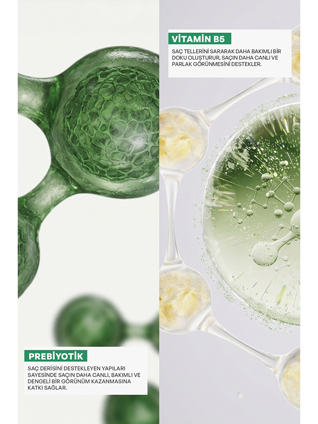 Prebiyotik & Vitamin B5 Kepeğe Karşı Şampuan 950 Ml-1