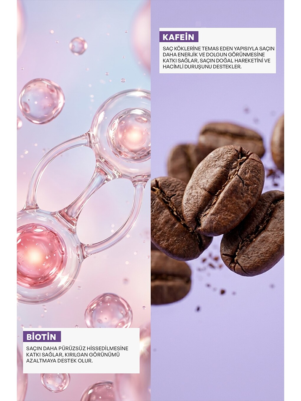 Biotin & Caffeine Dökülme Karşıtı Şampuan 950 ml x 2 Adet-1