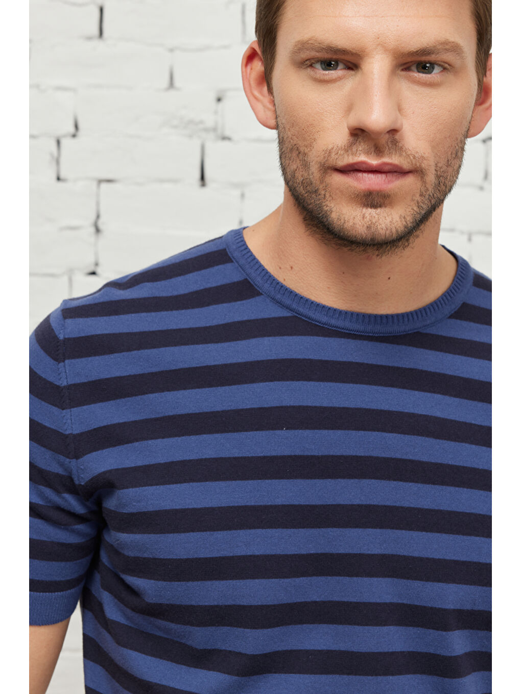 Erkek Lacivert-İndigo Standart Fit Normal Kesim Bisiklet Yaka Pamuklu Çizgili Triko Tişört-2