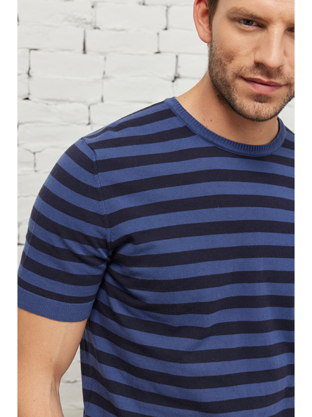 Erkek Lacivert-İndigo Standart Fit Normal Kesim Bisiklet Yaka Pamuklu Çizgili Triko Tişört-4