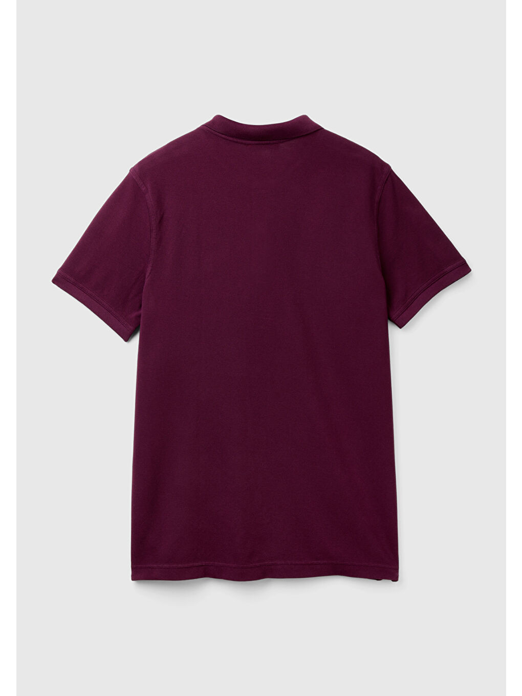 Erkek Mor Regular Fit Kısa Kollu Polo Tişört-3