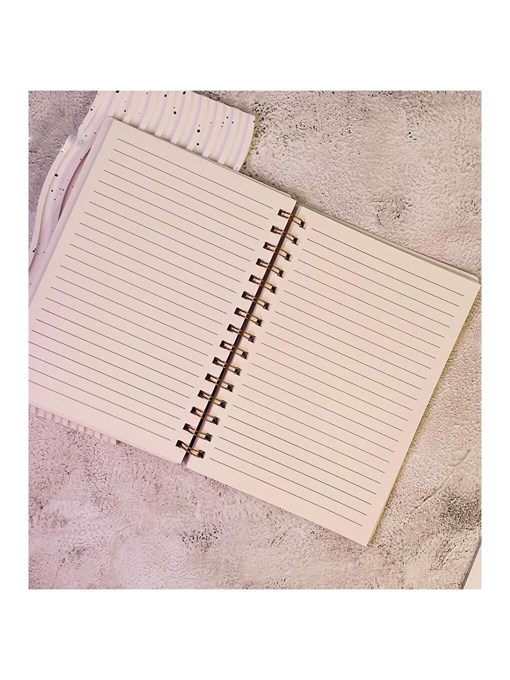 Sevimli Kedi Kapaklı Spiral Defter-1