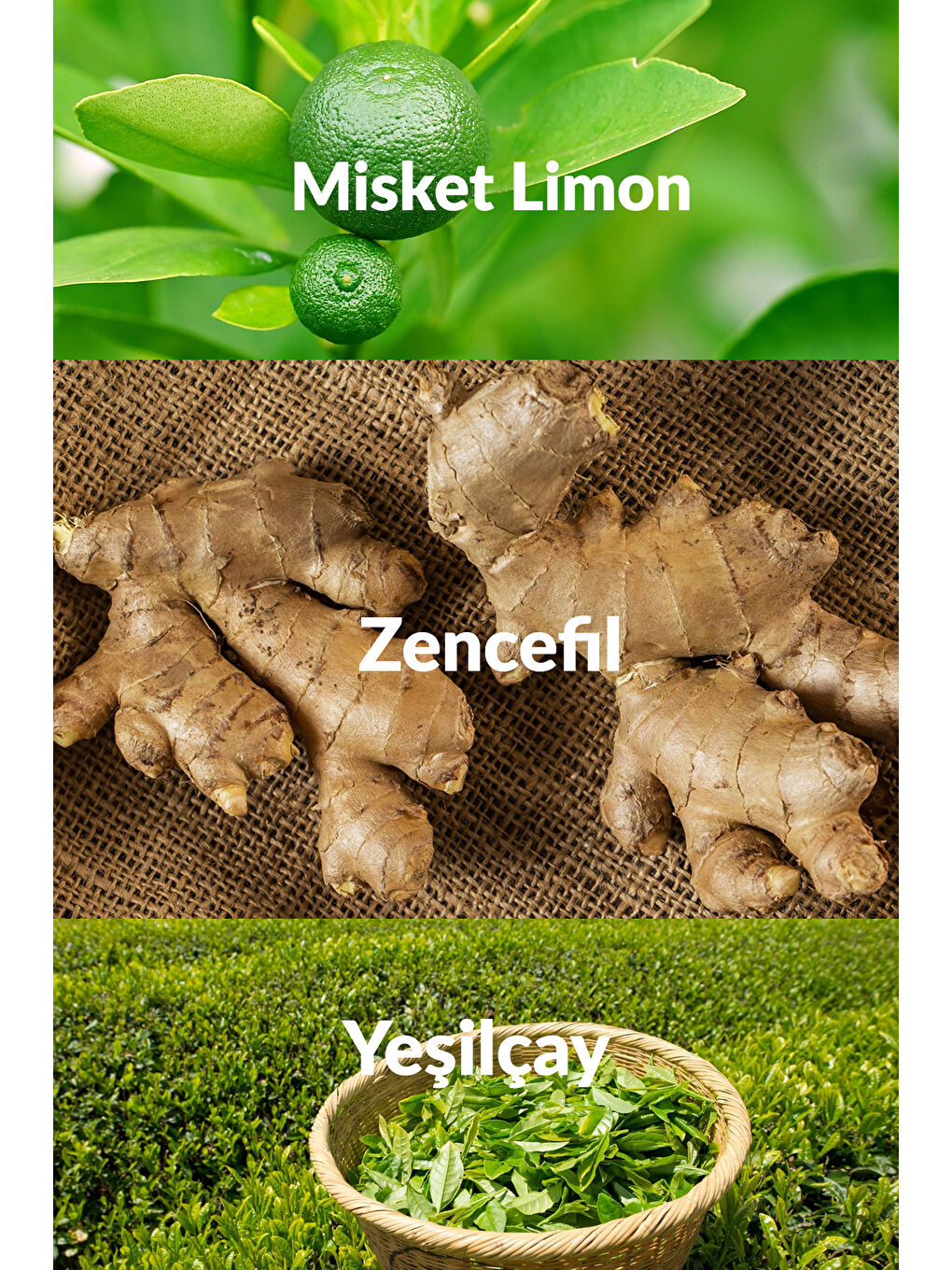 Scent Mix Fizzy Green Tea Kadın ve Masculine Woody Erkek Parfüm Paketi-2